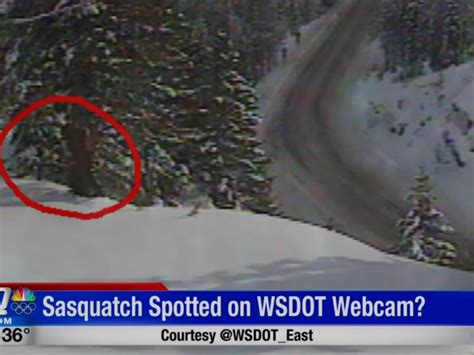 Could It Be Sasquatch Spotting On Wsdot Camera News