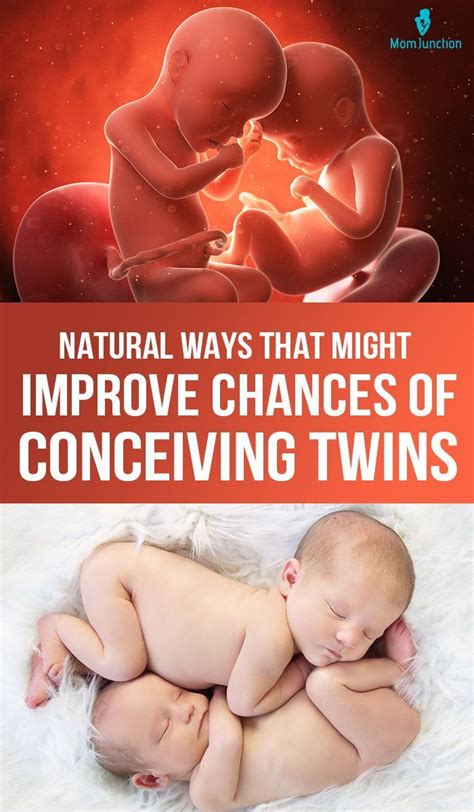 6 Best Ways To Get Pregnant With Twins Naturally Artofit