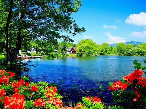 The Most Beautiful Nature Desktop Wallpapers - Wallpaper Cave