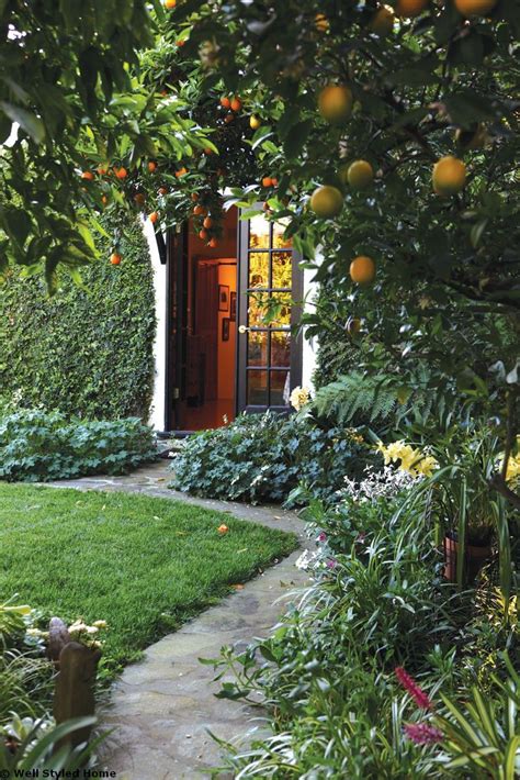 Fruit trees, garden bed with vegetables and berries, garden wheelbarrow with the harvest. Fruit trees for the shade garden | English garden design ...