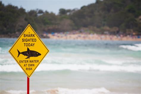 Is It Safe To Swim In The Sea In Australia