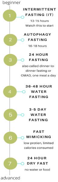 Everything You Need To Know To Start Fasting — Optimyze