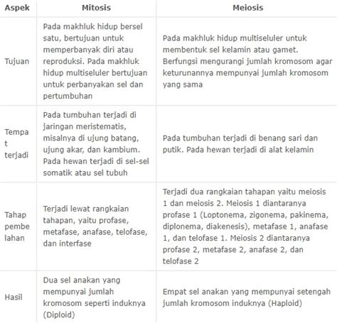 Tabel Perbedaan Mitosis Dan Meiosis