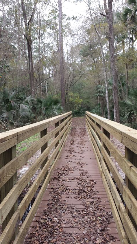 Black bear wilderness area trail is a 11.7 kilometer heavily trafficked loop trail located near sanford, florida that features a river and is rated as moderate. Black Bear Wilderness Trail | Custom Built Marine Construction