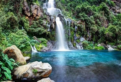 Laeacco Spring Forest Mountain Waterfall Scenery Portrait