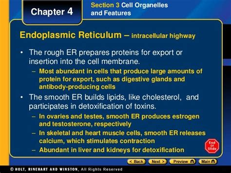 Cell Biology Ppt