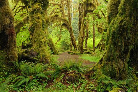 10 Top Places To Visit In Olympic National Park Seattle Met