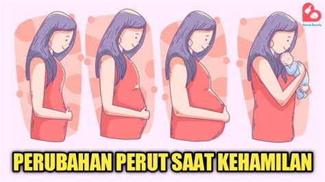 Begini Perubahan Bentuk Perut Ibu Hamil Tiap Bulan Selama Kehamilan Youtube