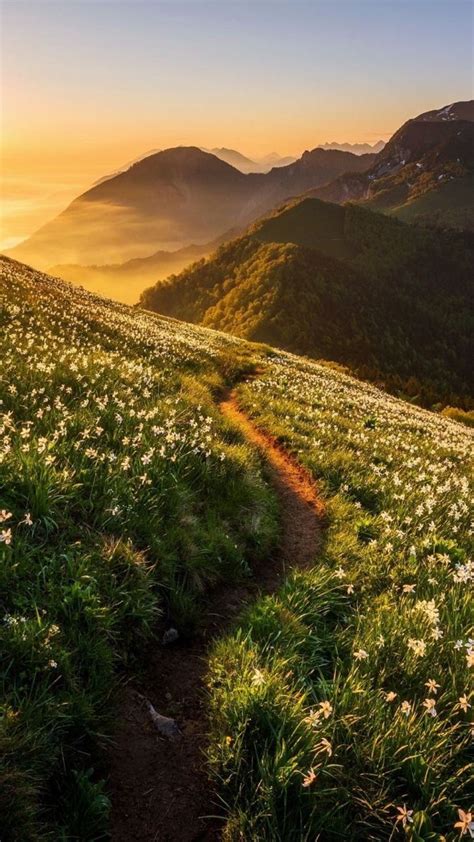 The Sun Is Setting Over A Grassy Hill With Flowers On It And Mountains