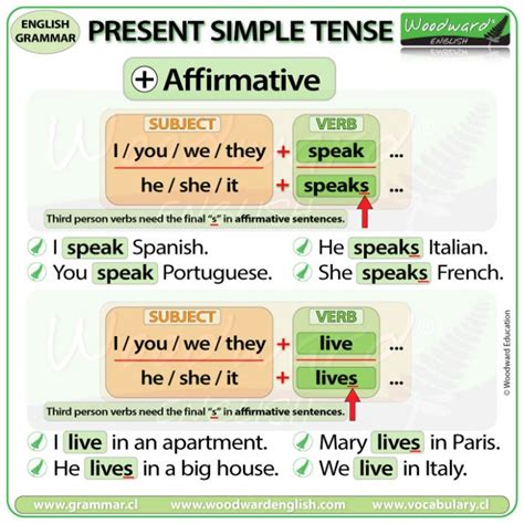 Present Simple Tense Affirmative Sentences In English Woodward English