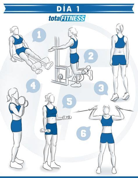 Ejercicios Para Espalda Y Triceps Gym Sowin