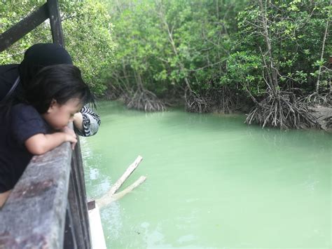 Manfaat hutan bakau sangat luas, terutama untuk menunjang kehidupan pesisir pantai. Yok Rempitan ...: August 2019