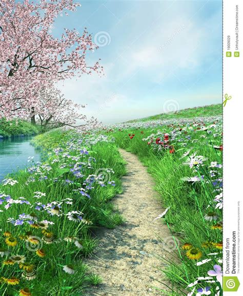 Meadow Path Royalty Free Stock Images Image 19009029