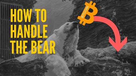 Why are the cryptocurrencies crashing? How To Handle A Crypto Bear Market!? - YouTube