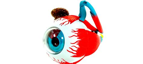 Investigadores logran crear un modelo 3D del ojo humano