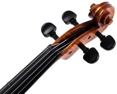 STRUNAL SCHÖNBACH Jiri Hodina Master violin Acoustic Violin