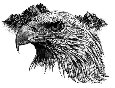 Incredible Black And Grey Realistic Eagle Head With