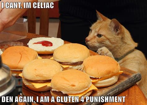 Lolcats Puns Lol At Funny Cat Memes Funny Cat Pictures With Words