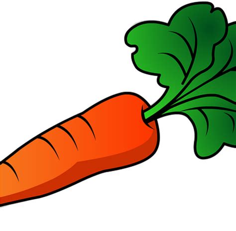 Carrots clipart orange carrot, Carrots orange carrot Transparent FREE ...