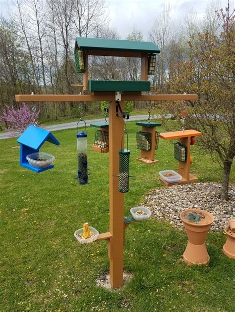 Tips For How To Introduce A New Feeder To Your Backyard Birds Hanging
