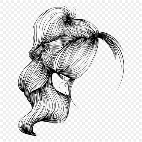 Ponytail Sketch Clipart Png Vector Psd And Clipart With Transparent