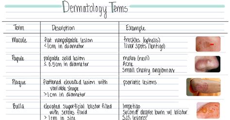 Derm Terminologypdf Derm Psoriatic Freckles