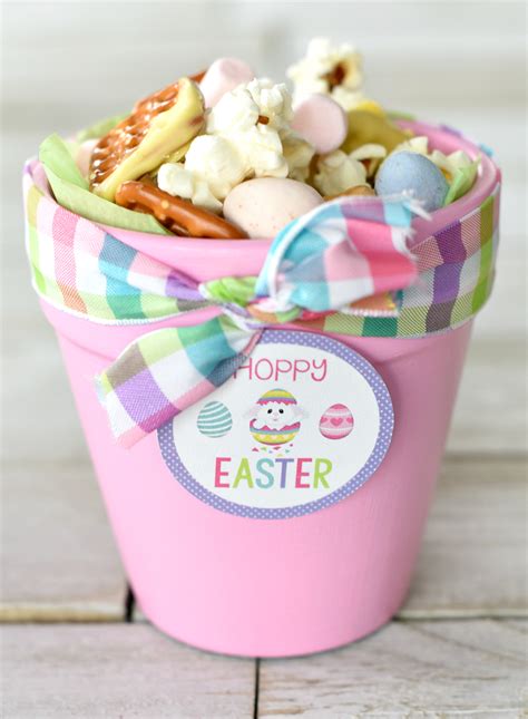 Cute Easter T Ideas Hoppy Easter Bunny Pots Fun Squared