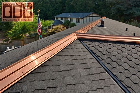 Copper Roof Strips 12300 About Roof