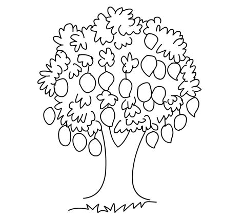 Mango Tree Clipart 20 Free Cliparts Download Images On