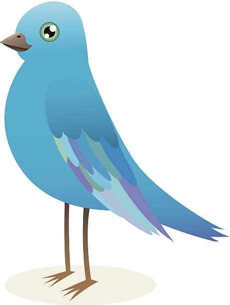 Royalty Free Blue Jay Flying Clip Art Vector Images And Illustrations
