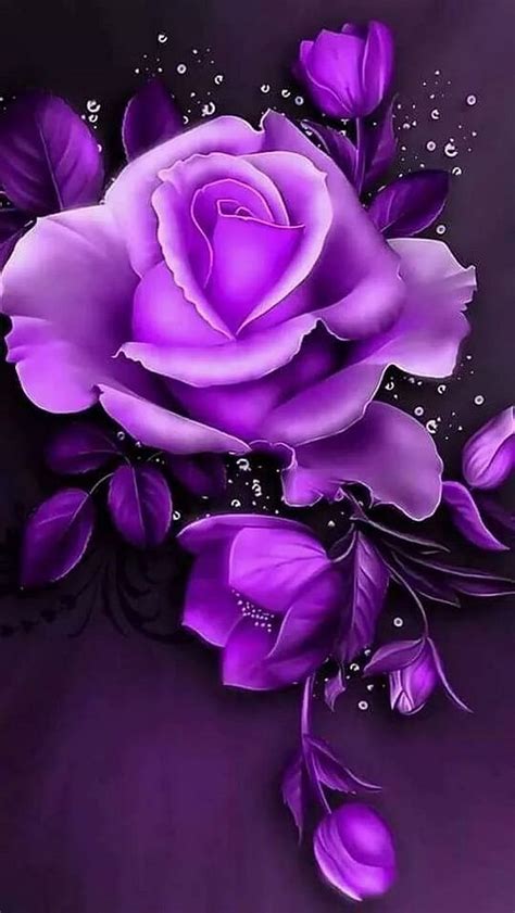 Tuyển chọn hơn 300 Purple rose wallpaper Mới nhất đẹp nhất tải miễn phí