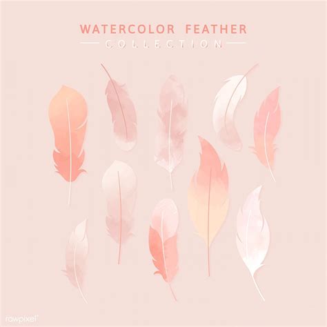 Download Premium Vector Of Pink Watercolor Lightweight Feather