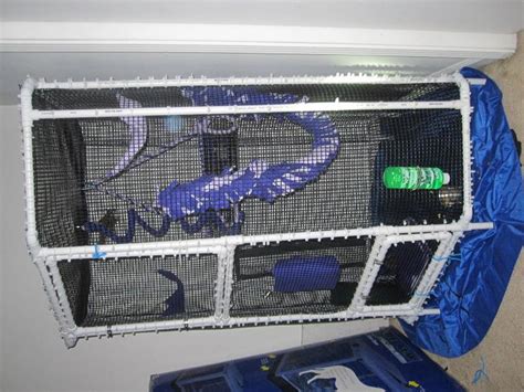 2) a homemade cage will give them more room to run and play. GliderGossip - Stainless Steel Corner Cage (homemade ...