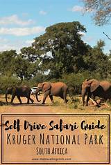 Safari Kruger National Park Pictures