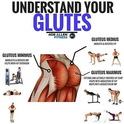 Understand Your Glutes Butt Workout Gym Sixpack Abs Workout Ab Workout At Home At Home
