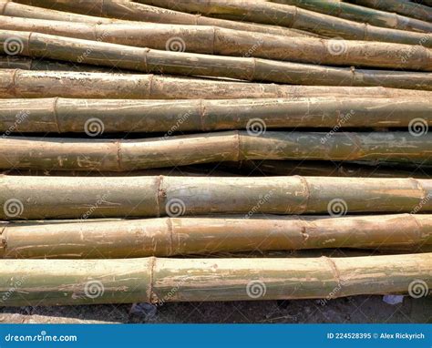 Bamboo Tree Of Pile Good For Background Stock Image Image Of