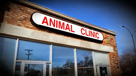 Home | Veterinarian in Arlington, TX | Animal Clinic of Arlington