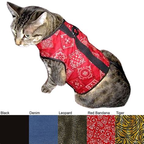Click here to learn of the 5 best cat harnesses for bengal cats in 2021. Harness Training A Cat Jackson Galaxy - Pets Ideas