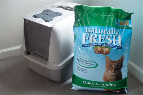 Naturally Fresh Walnut Clumping Cat Litter Review Easy Swap