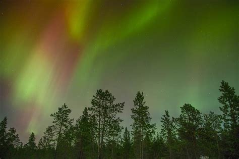 Borealis Aurora Northern Lights Picture Free Sweden Photos