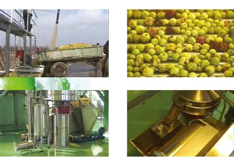 Fruit Juice Processing Equipmentapple Juice Machineapple Juice
