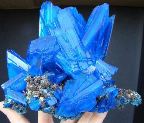 Chalcanthite 10 Wonderful Blue Rocks Crystals Minerals Minerals