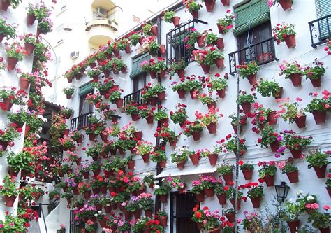 La angosta calleja de las flores es uno de los rincones más bonitos de córdoba. Los Patios de Córdoba patrimonio inmaterial de la ...