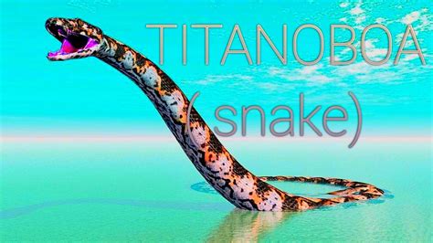 Titanoboa Snake Amazing Facts Youtube