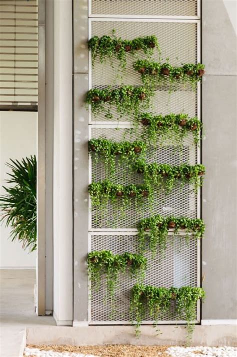 50 Awesome Vertical Garden Ideas Photos In 2020 Vertical Garden