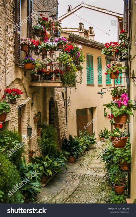 Beautiful Alley Decoration Plants Flowers Medieval Stock Photo Edit