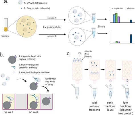 Framework For Rapid Comparison Of Extracellular Vesicle Isolation