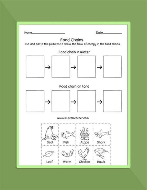 Food Chain Food Web Ecosystems Printables And Worksheets For