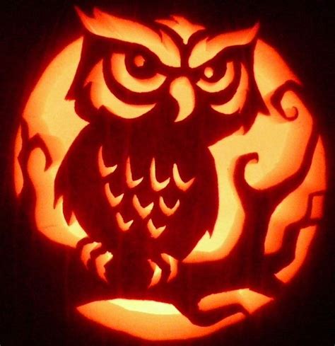 Owl Pumpkin Carving Halloween Pumpkin Carving Stencils