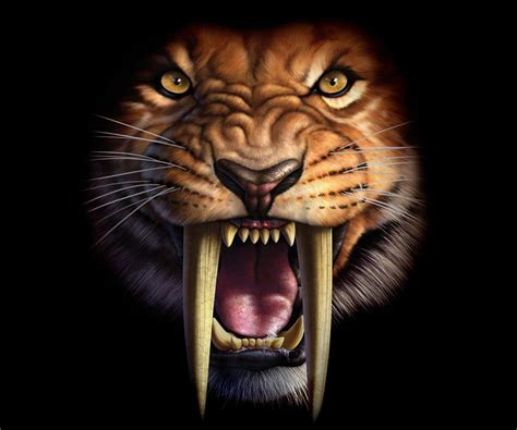 Saber Toothed Tiger Image Id Image Abyss